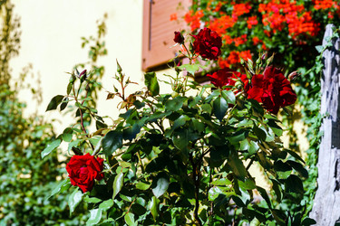 Similar image 10454058