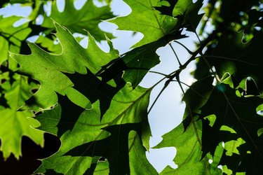 Similar image 10454079