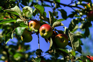 Similar image 10454080