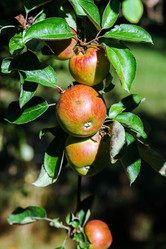 Similar image 10454081