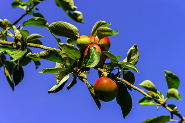 Similar image 10454082