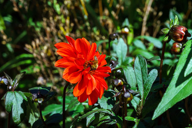 Similar image 10454084