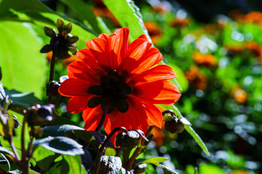 Similar image 10454088