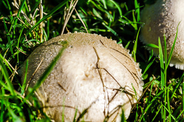 Similar image 10454091