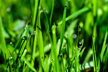 Similar image 10454094