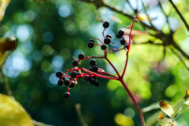 Similar image 10454099