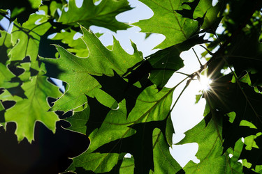 Similar image 10454102