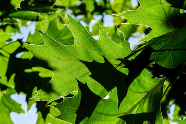 Similar image 10454105