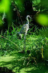 Similar image 10454107