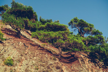 Similar image 10454136