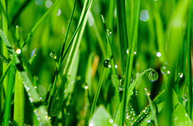 Similar image 10454184