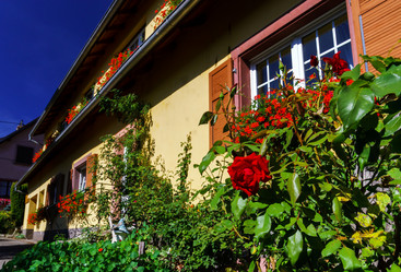 Similar image 10454253