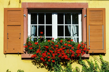 Similar image 10454261