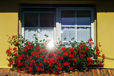 Similar image 10454264