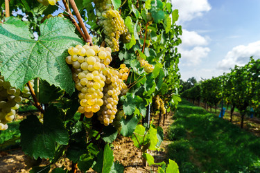 Similar image 10454291