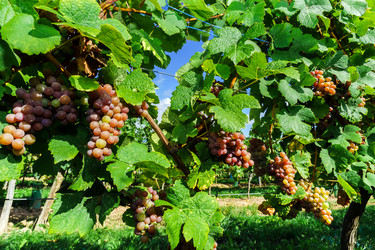 Similar image 10454293