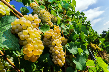 Similar image 10454294