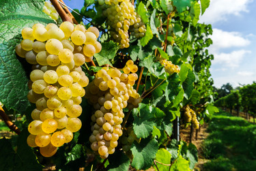 Similar image 10454299