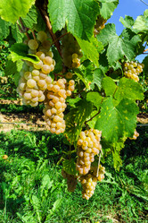 Similar image 10454303