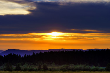 Similar image 10454304