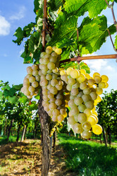 Similar image 10454306