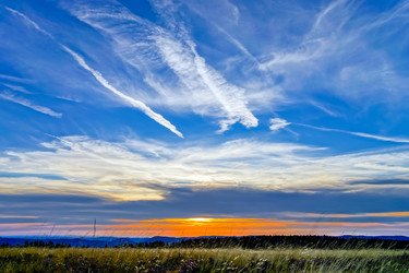 Similar image 10454305