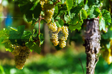 Similar image 10454307