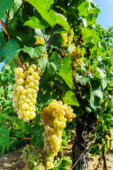 Similar image 10454311