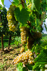 Similar image 10454313