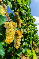 Similar image 10454328