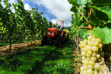 Similar image 10454329