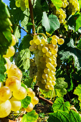 Similar image 10454331