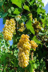 Similar image 10454333