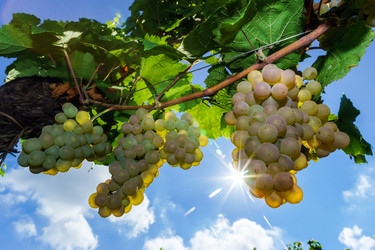 Similar image 10454335