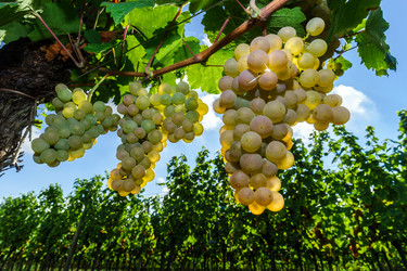 Similar image 10454336