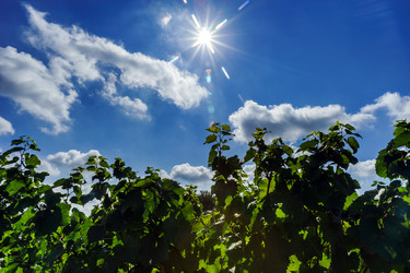 Similar image 10454337