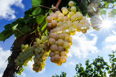 Similar image 10454338