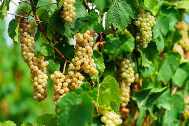 Similar image 10454340