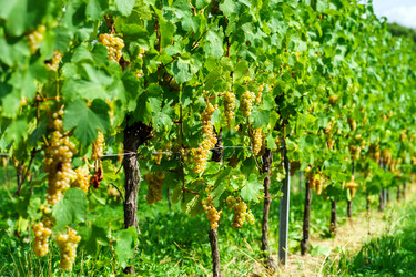 Similar image 10454343