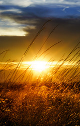 Similar image 10454349