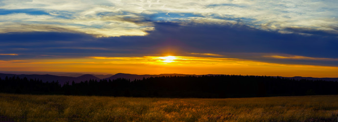 Similar image 10454350