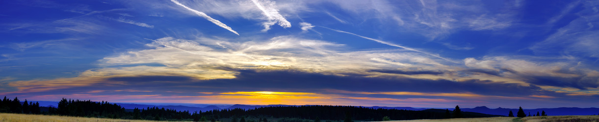 Similar image 10454352