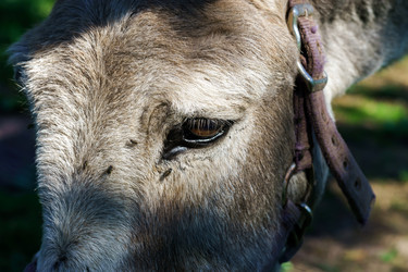 Similar image 10454354