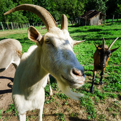 Similar image 10454356