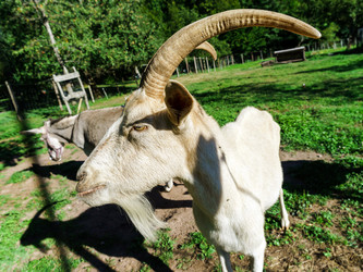 Similar image 10454359