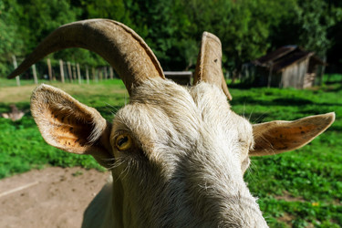 Similar image 10454361