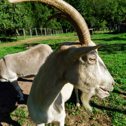 Similar image 10454362