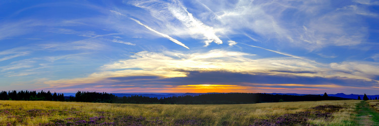 Similar image 10454364