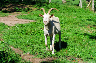 Similar image 10454365