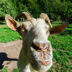 Similar image 10454366